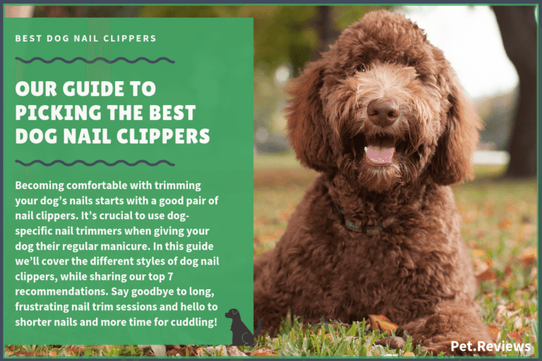 6 Best Dog Nail Clippers With Our 2022 Budget-Friendly Pick
