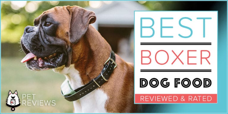 10 Best (Healthiest) Dog Foods for Boxers in 2022