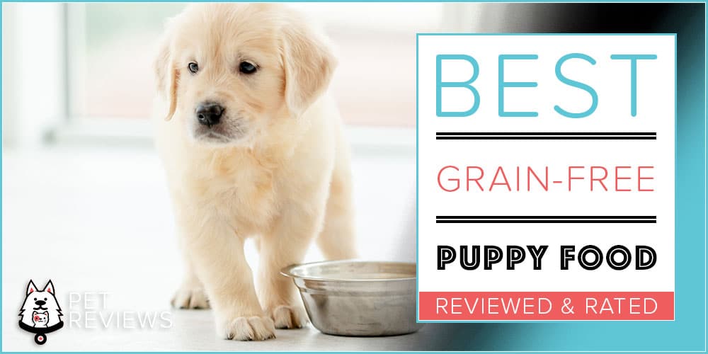 10 Best Grain Free Puppy Foods: Our Top 