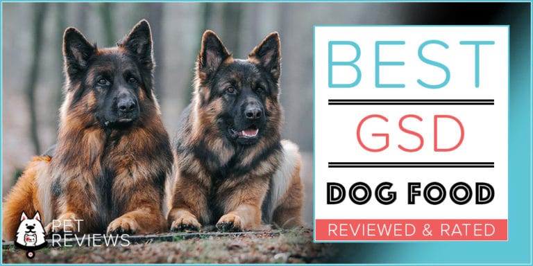 10 Best Dog Foods For German Shepherds (GSD’s) in 2023