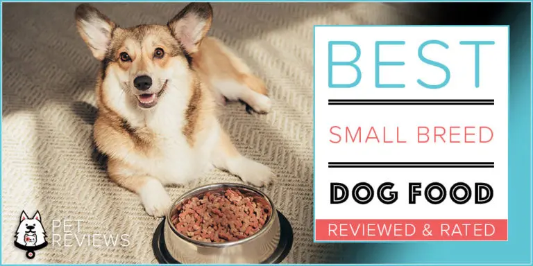10 Best (Healthiest) Small Breed Dog Food Brands for 2023