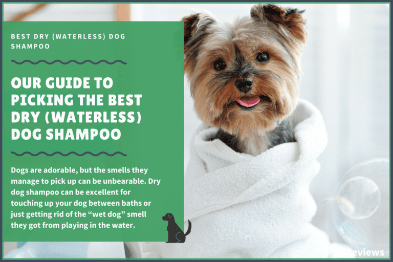 7 Best Dry (Waterless) Shampoos for Dogs & 2022 Budget-Friendly Pick