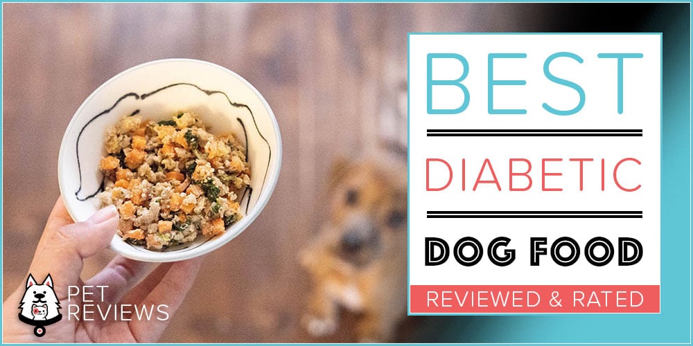 chewy diabetic dog food