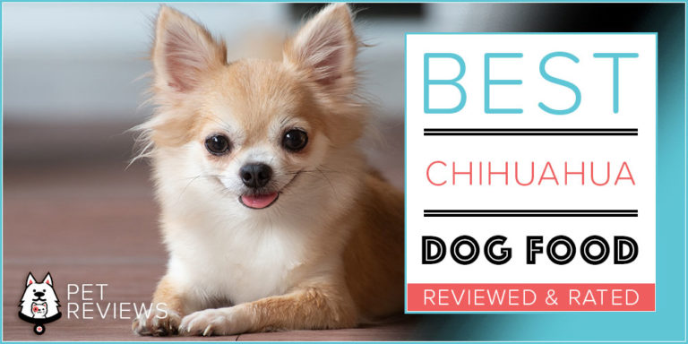 9 Best Dog Foods for a Chihuahua with our 2022 Most Affordable Pick
