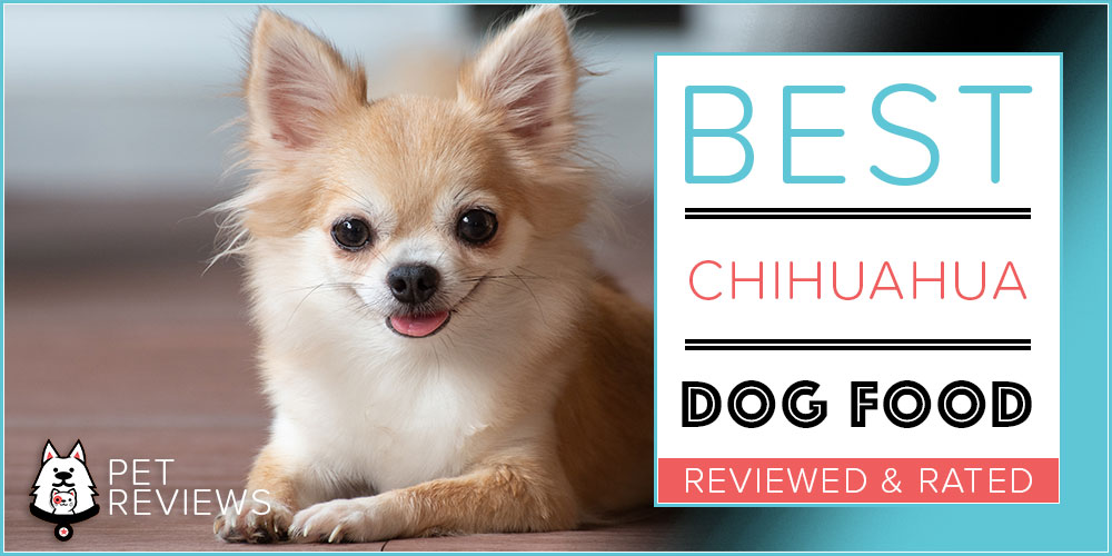 best dog food for my chihuahua