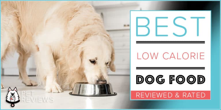 10 Best Diet (Low Calorie) Dog Foods For Weight Loss & Control