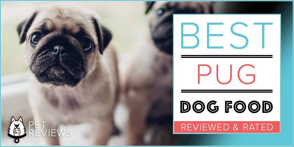 best nail clippers for pugs