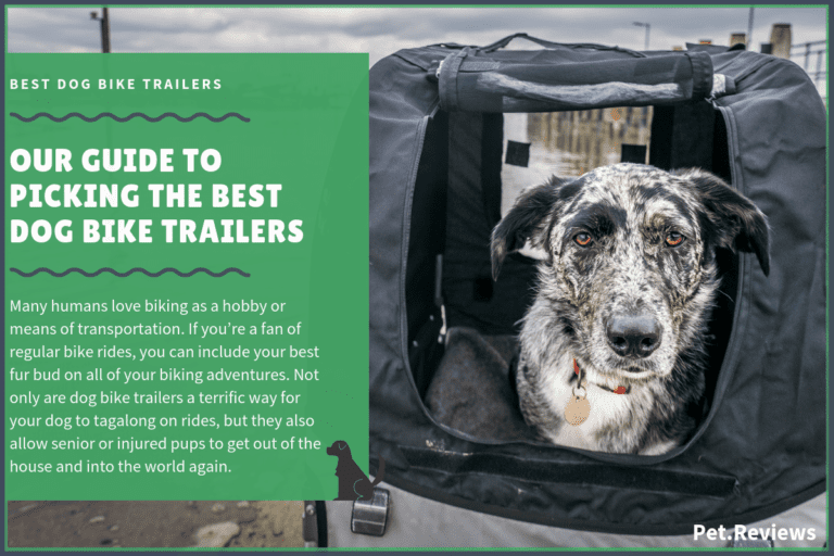 7 Best Dog Bike Trailer With Our 2023 Budget-Friendly Pick