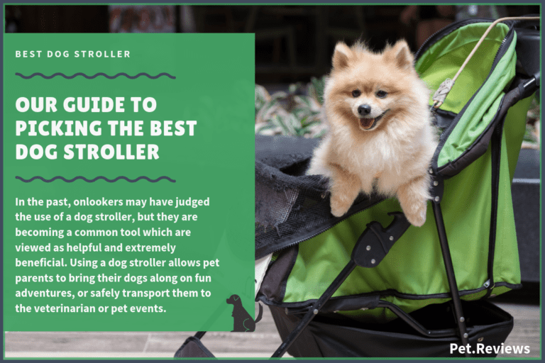 7 Best Dog Strollers With Our 2023 Budget-Friendly Pick