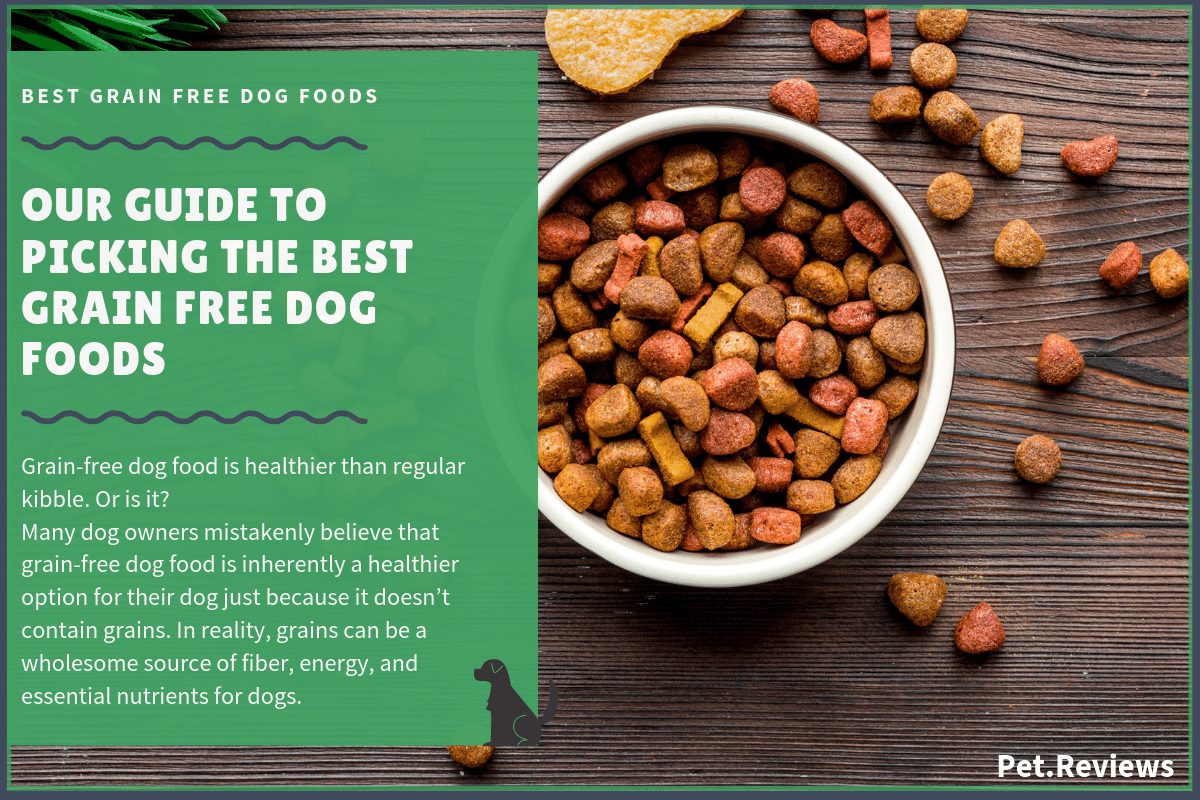 best grain free dog food