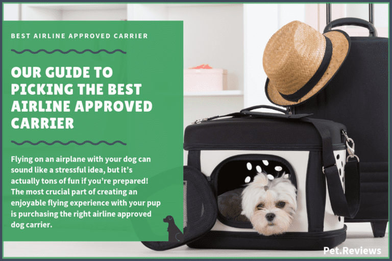 7 Best Airline Approved Dog Carriers With Our 2023 Budget-Friendly Pick