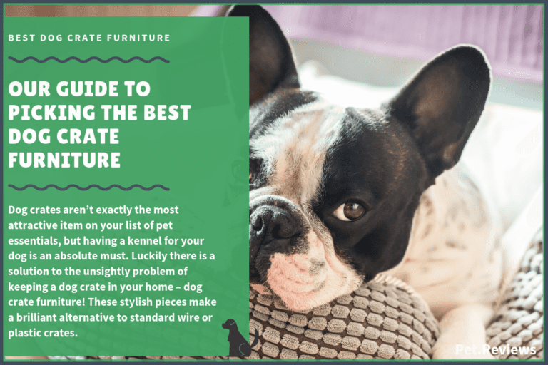 7 Best Dog Crate Furniture With Our 2022 Budget-Friendly Pick