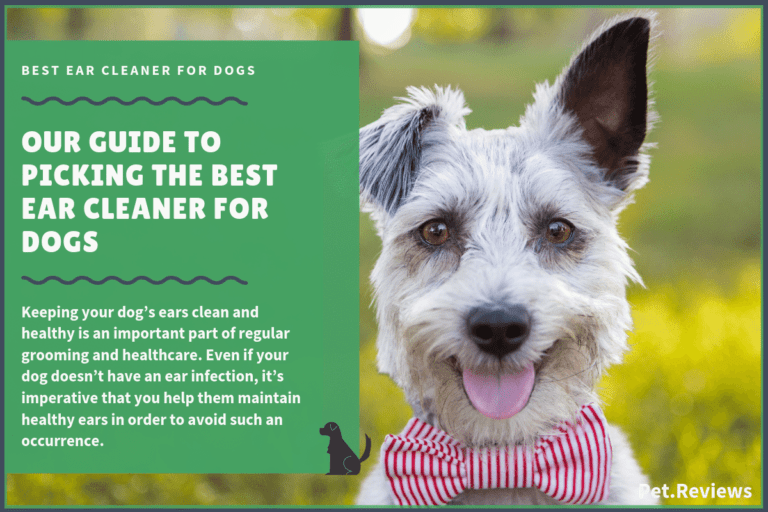8 Best Dog Ear Cleaners With Our 2023 Budget-Friendly Pick