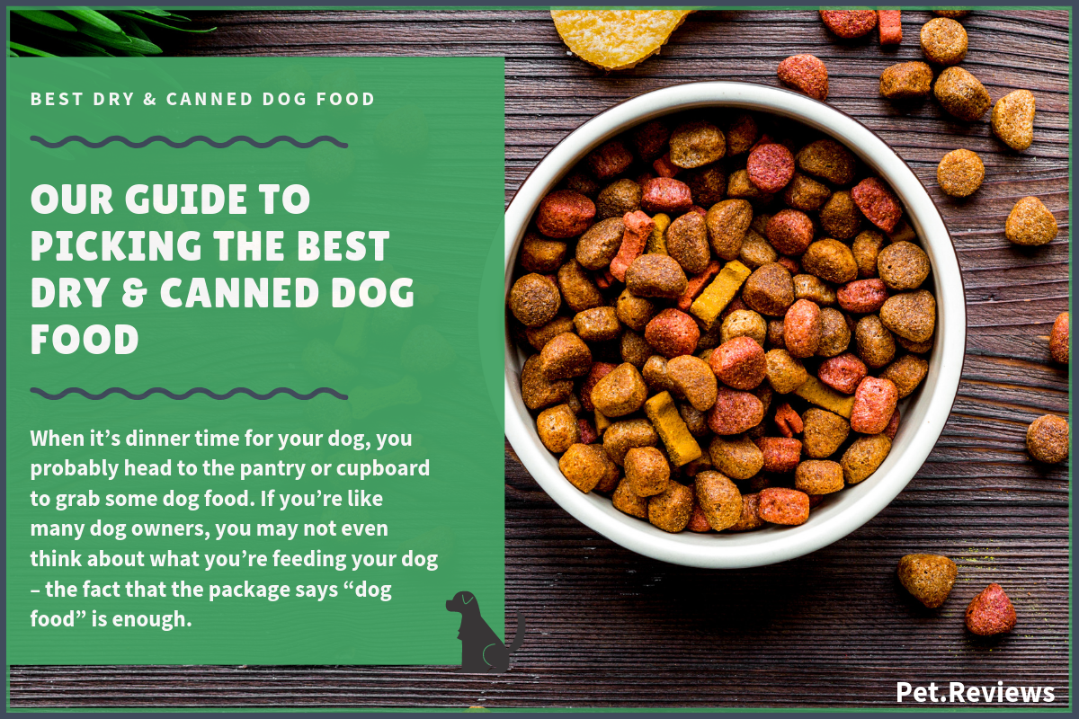 10 Best Dog Food Brands (Dry & Canned) 2022 Dog Food Reviews