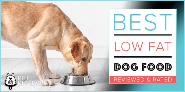 10 Best Commercial Low Fat Dog Foods (Canned & Dry) for Pancreatitis