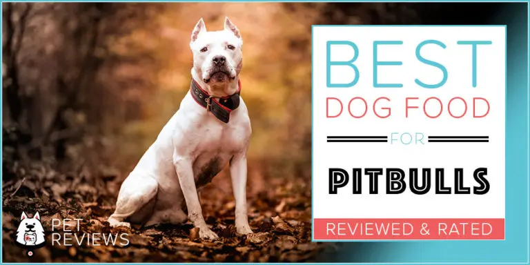 10 Best Dog Foods for Pitbulls: Our 2024 Bully Feeding Guide