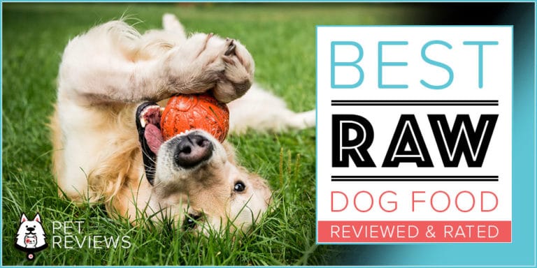 11 Best Commercial Raw Dog Food Brands (Fresh, Frozen & Dehydrated) – 2022