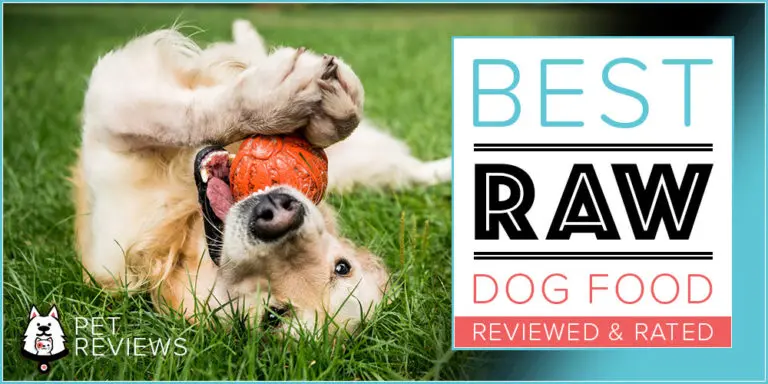 11 Best Commercial Raw Dog Food Brands (Fresh, Frozen & Dehydrated) – 2024