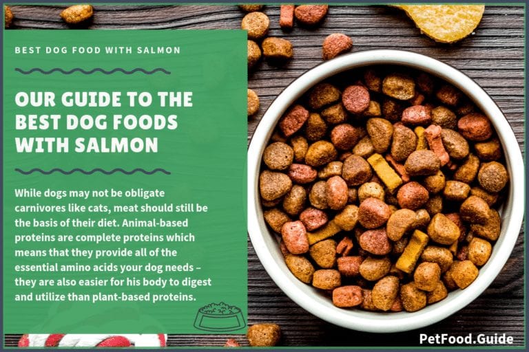7 Best Dog Foods with Salmon: 2023 Top Rated Salmon Dog Foods