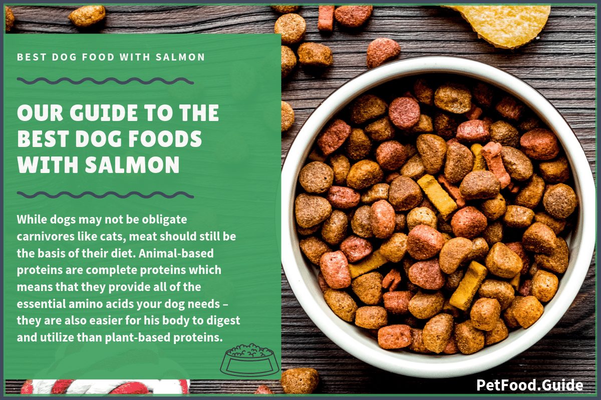 dog food high in omega fatty acids
