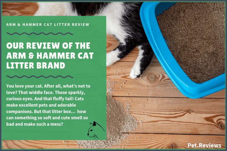 Our 2022 Arm and Hammer Cat Litter Reviews and Coupons