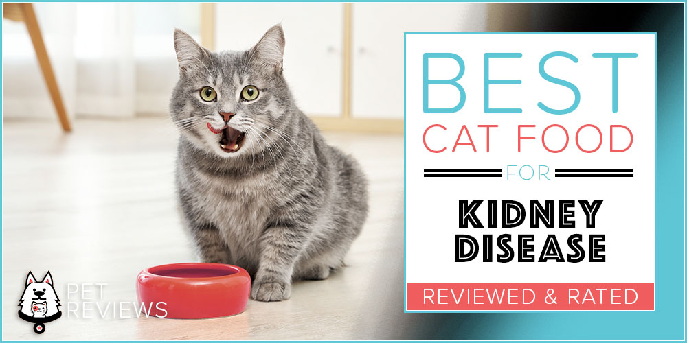 Top 9 Prescription Diet Wet Cat Food Home Previews