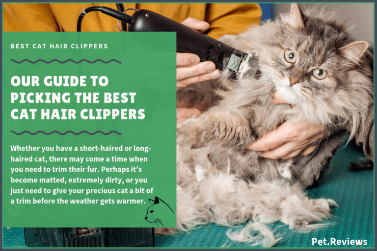 7 Best Cat Hair Clippers for Cats in 2023