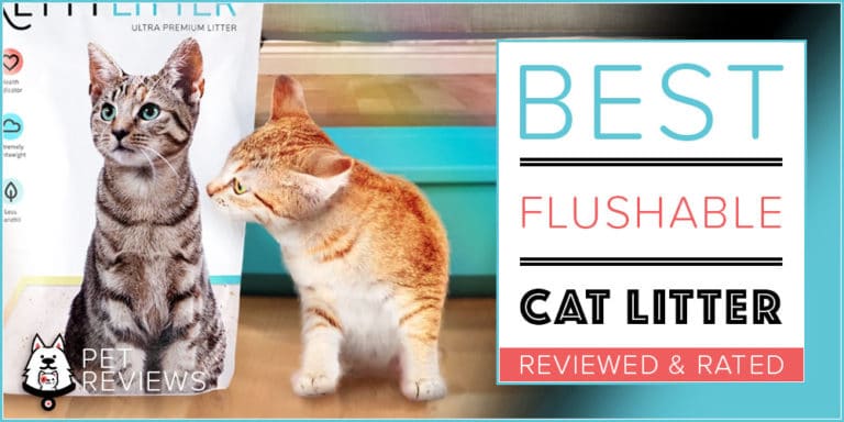 6 Best Flushable Cat Litters With Our 2022 Budget-Friendly Pick