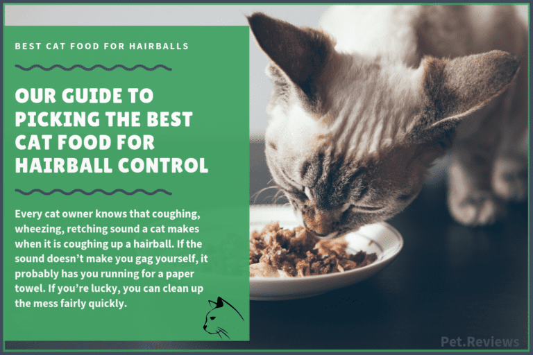 10 Best Cat Foods for Hairball Control and Vomiting in 2023