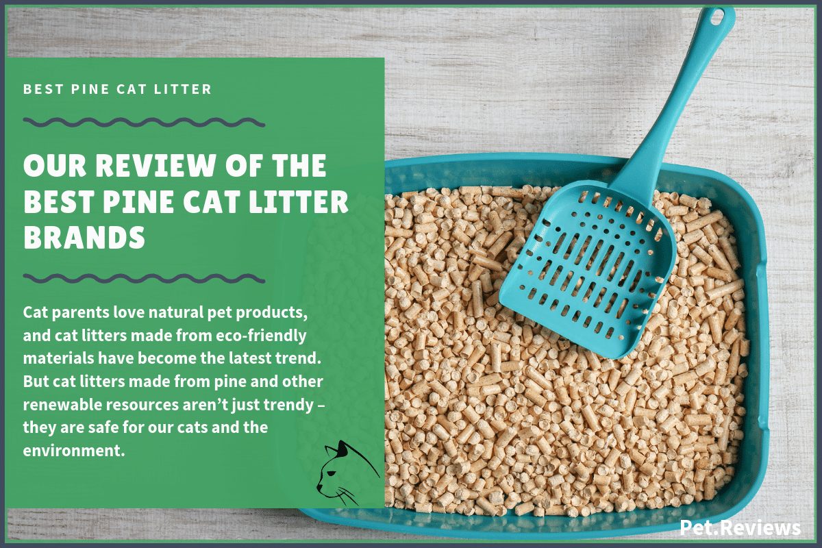feline pine cat litter