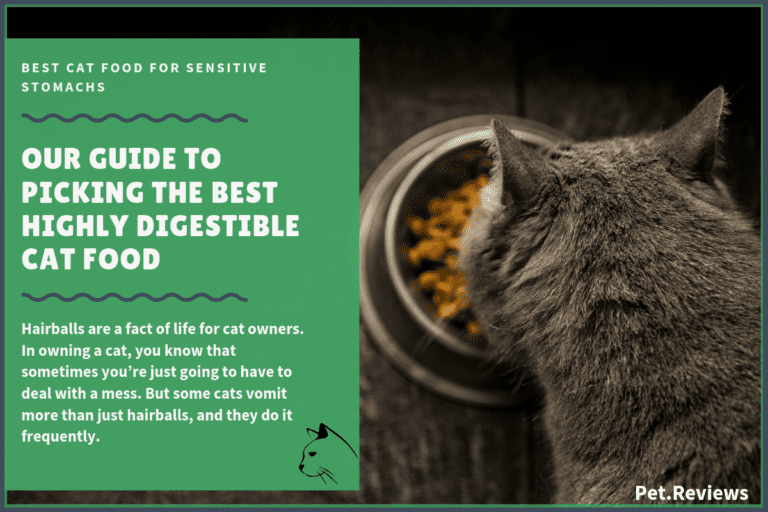11 Best (Highly Digestible) Cat Foods for Sensitive Stomachs in 2022
