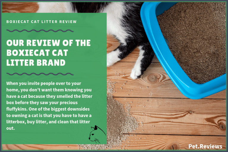 Our 2022 BoxieCat Cat Litter Reviews and Coupons