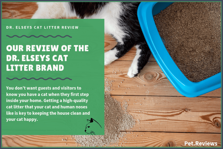 Our 2022 Dr. Elsey’s Precious Cat Litter Reviews and Coupons