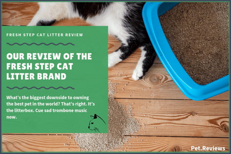 Our 2022 Fresh Step Cat Litter Reviews and Coupons
