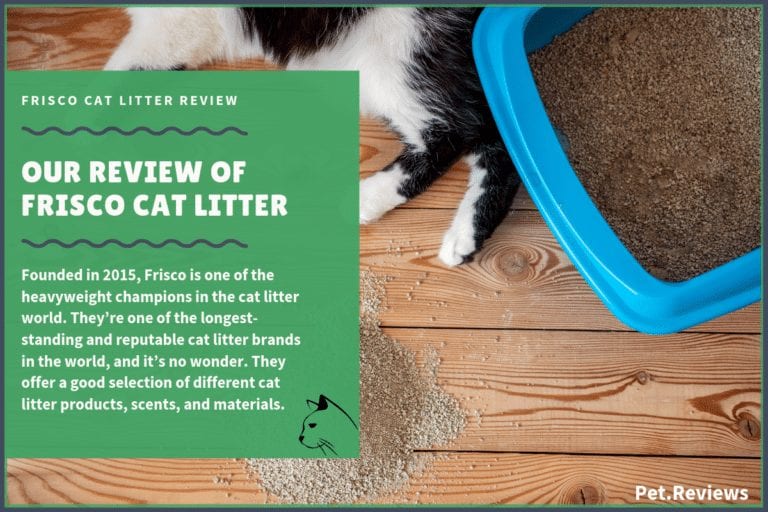 Our 2022 Frisco Cat Litter Reviews and Coupons