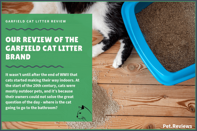 Our 2022 Garfield Cat Litter Reviews and Coupons
