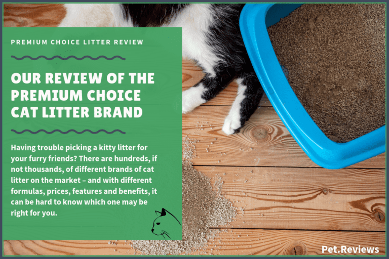 Our 2022 Premium Choice Cat Litter Reviews And Coupons