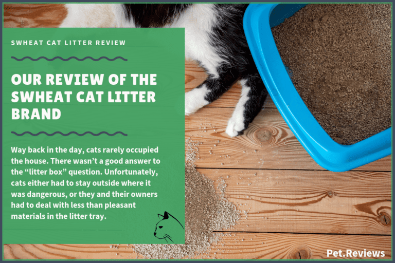 Our 2022 sWheat Cat Litter Reviews and Coupons