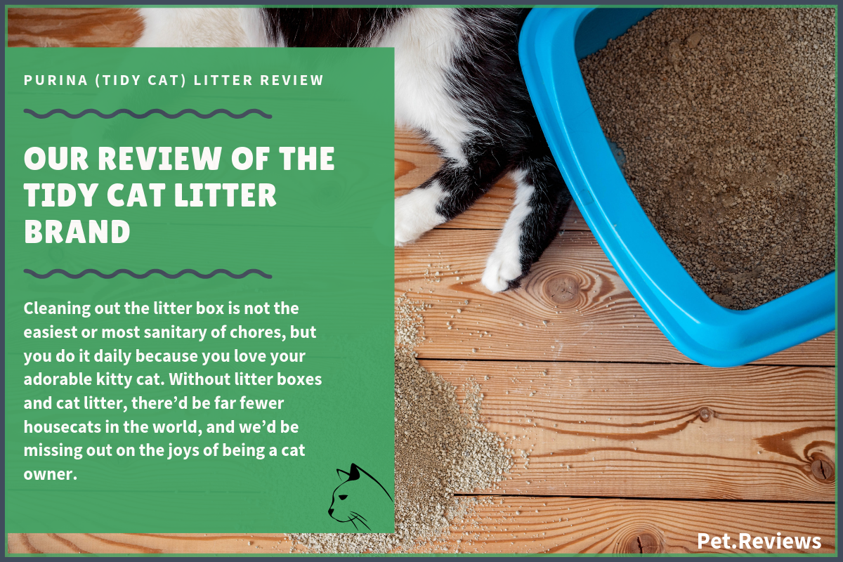 tidy cat free and clean litter