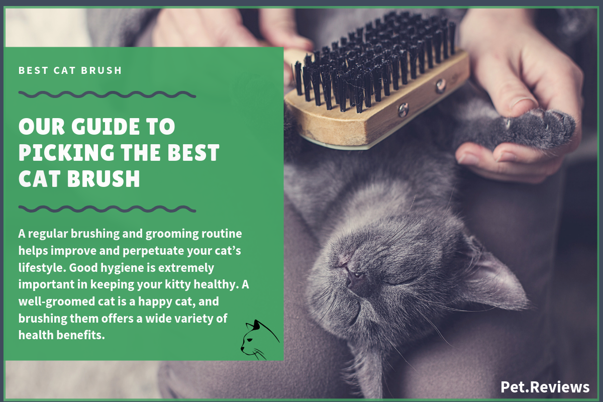rubber brush for cats