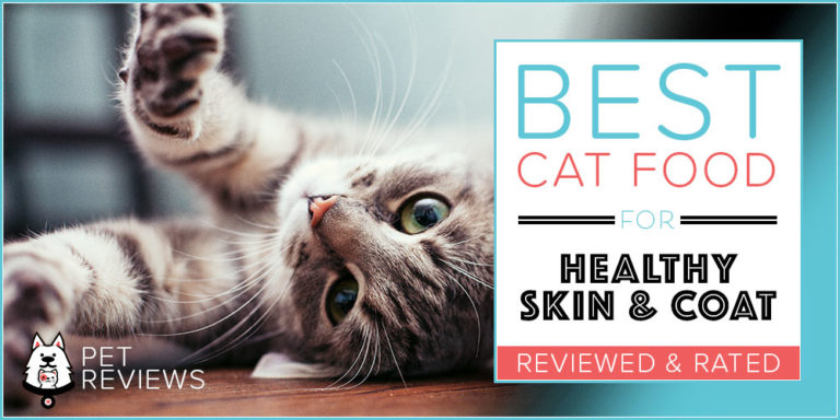 10 Best Cat Foods for Healthy Skin & Coat in 2022