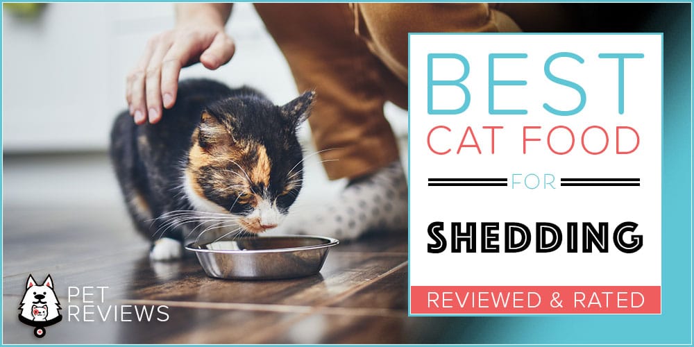 best cat food for shedding control
