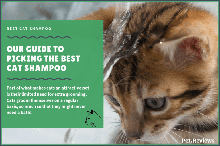 8 Best Cat Shampoos and Conditioners in 2022