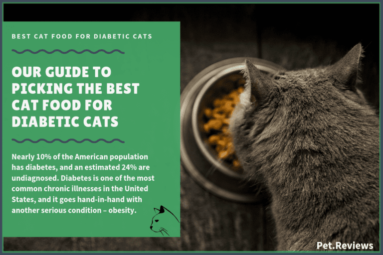 11 Best Cat Foods (Lower Carb) for Diabetic Cats in 2022