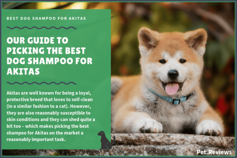 6 Best Dog Shampoos & Conditioners For Akitas in 2023