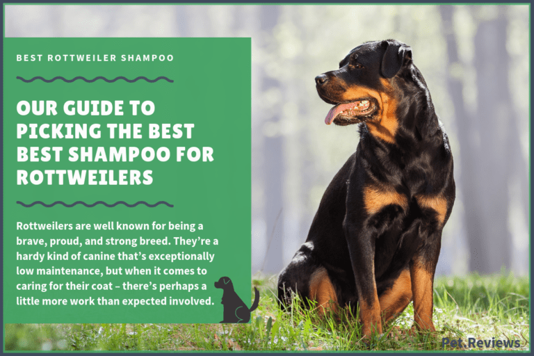 6 Best Dog Shampoos And Conditioners For Rottweilers in 2023