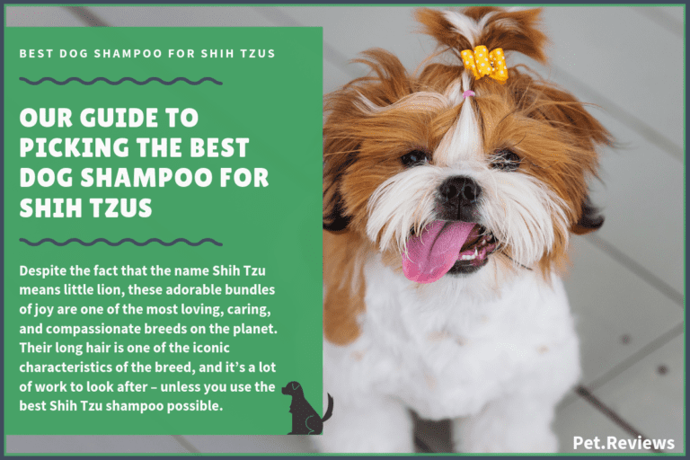 6 Best Dog Shampoos & Conditioners For Shih Tzus in 2022