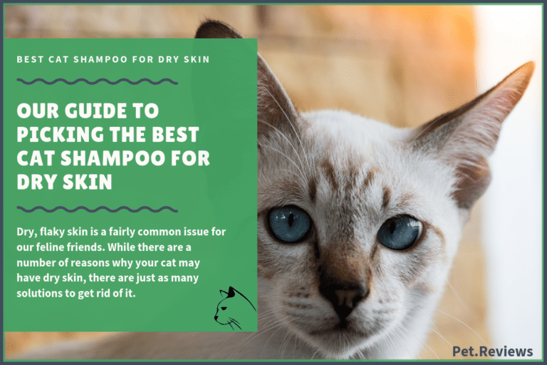 7 Best Cat Shampoos for Dry Skin With Our 2023 Budget-Friendly Pick