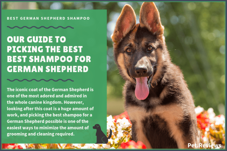 6 Best Dog Shampoos & Conditioners For German Shepherd Dogs in 2023