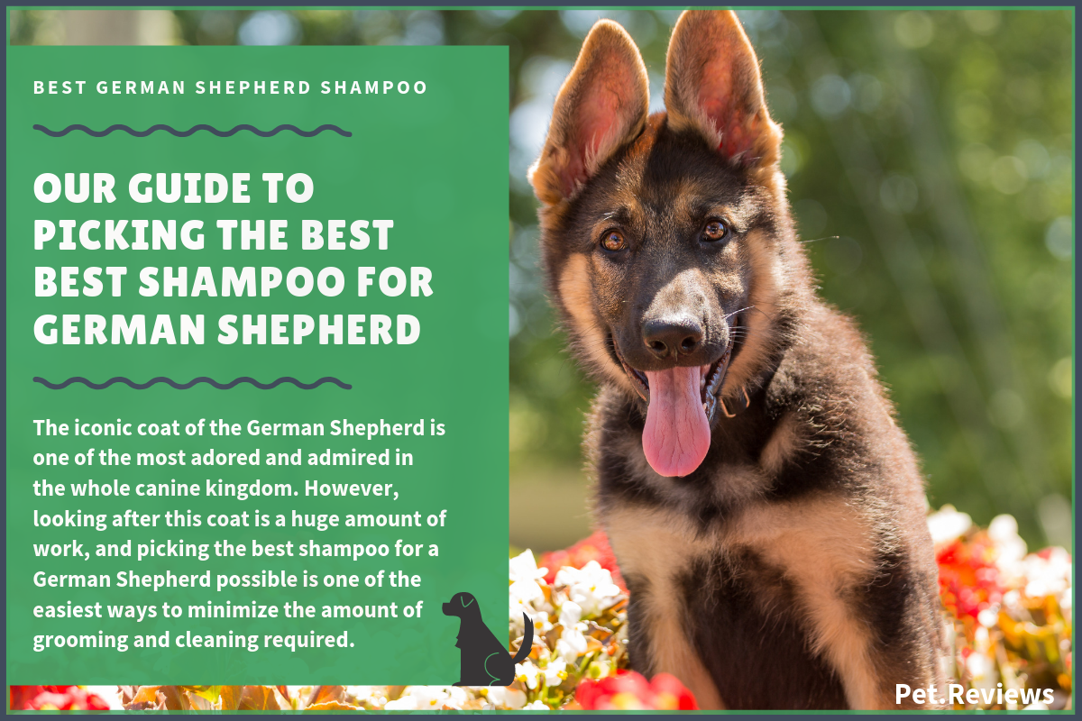 Conditioners For German Shepherd Dogs 